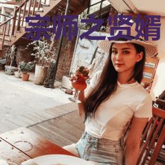 宗师之贤婿