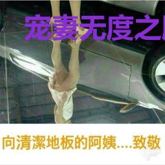 宠妻无度之腹黑世子妃