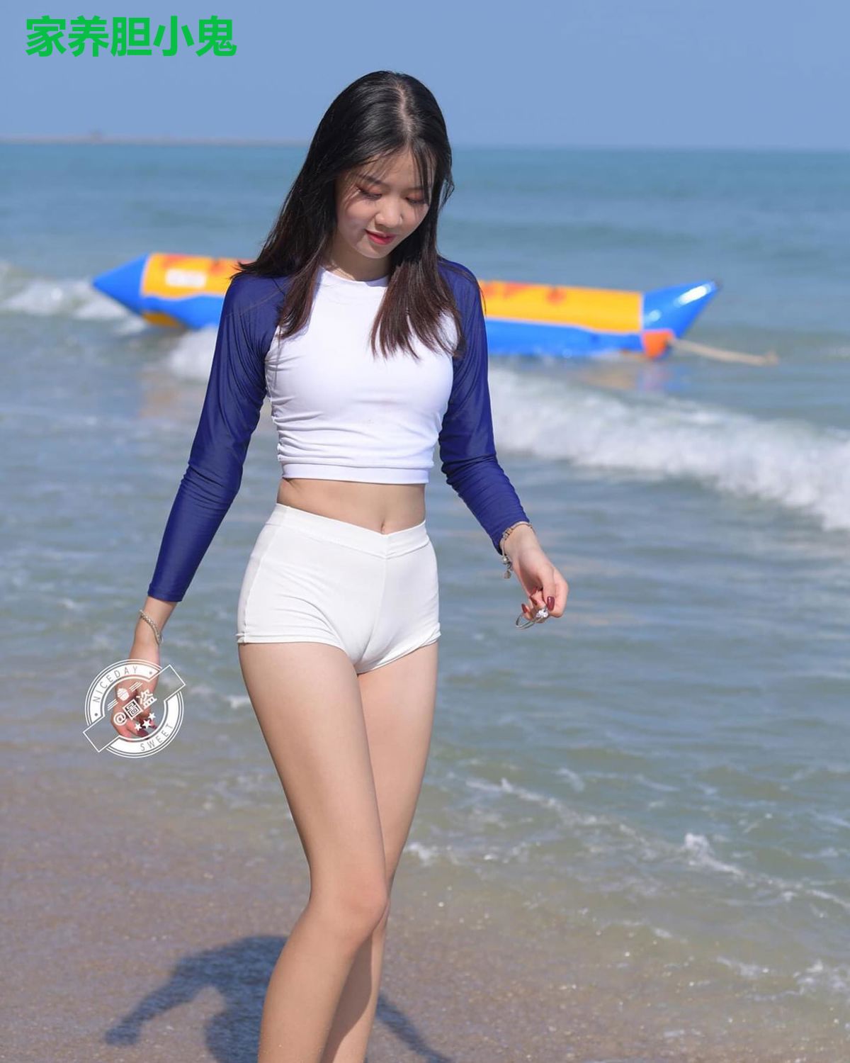 家养胆小鬼