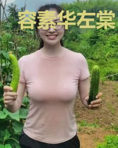 容素华左棠
