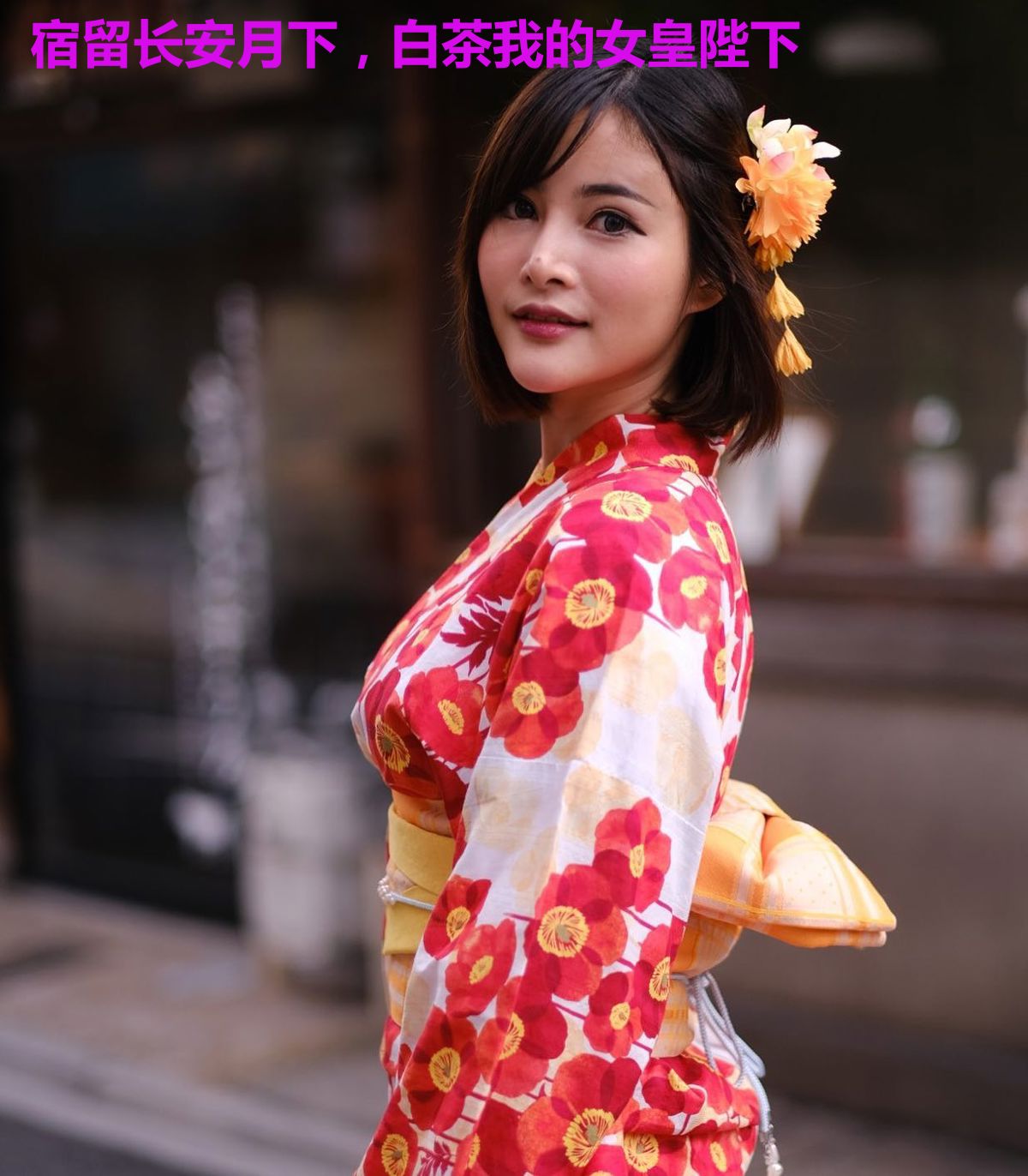 宿留长安月下,白茶我的女皇陛下