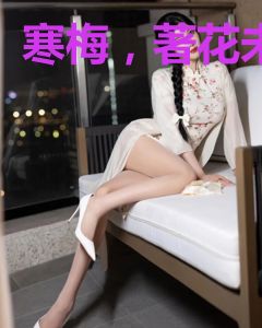 寒梅，著花未
