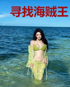 寻找海贼王