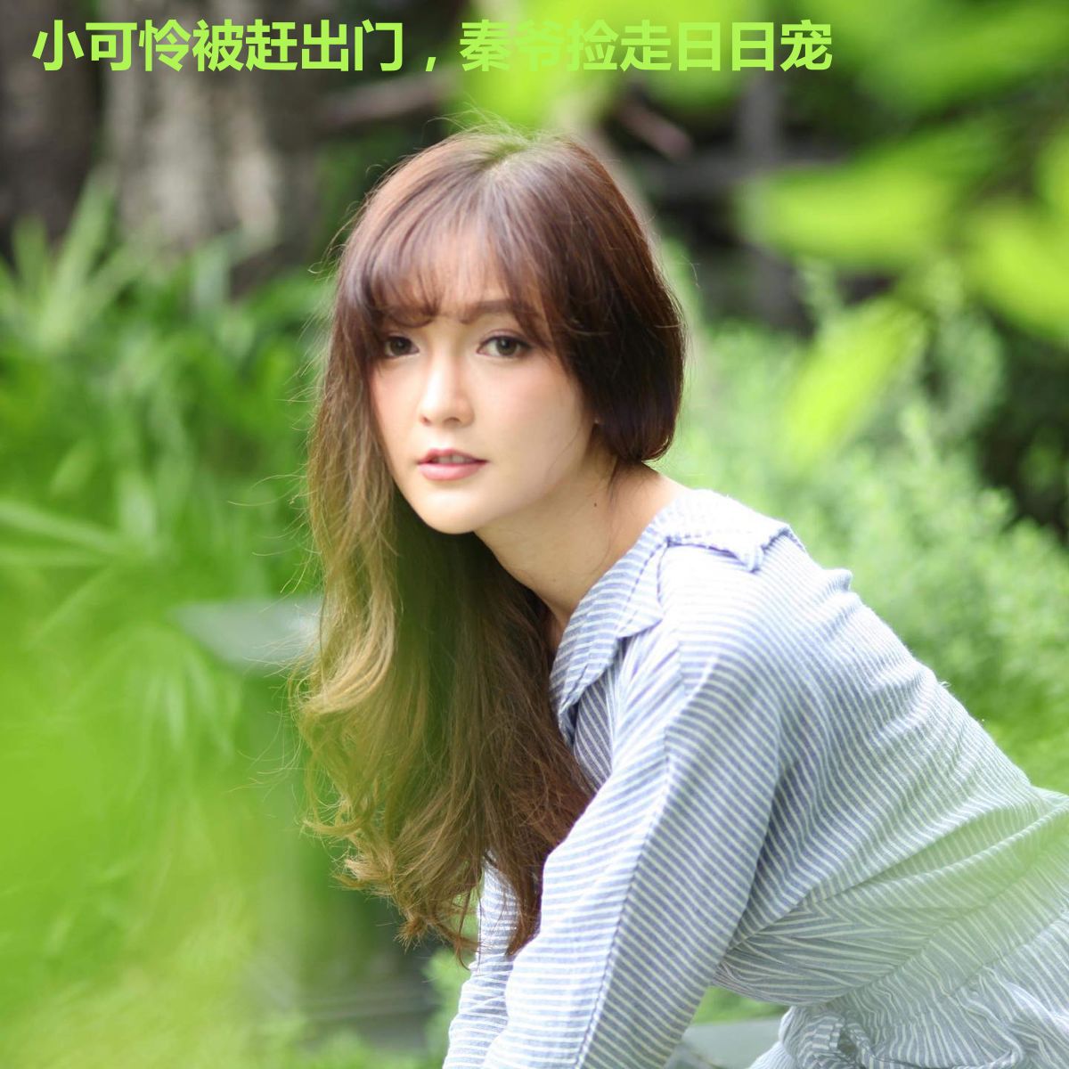 小可怜被赶出门,秦爷捡走日日宠