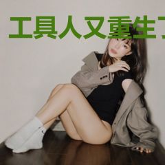 工具人又重生了