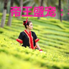 帝王盛宠：毒妃难为