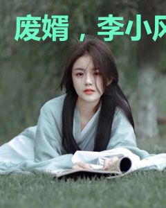 废婿，李小风
