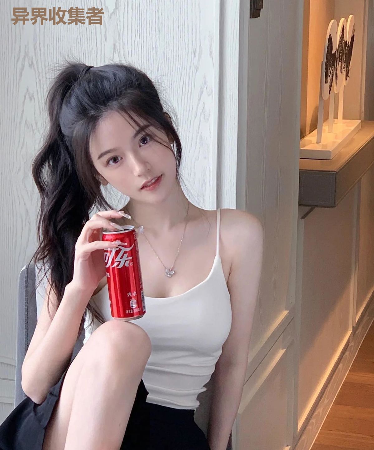 异界收集者