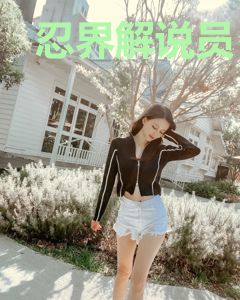 忍界解说员
