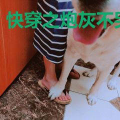 快穿之炮灰不哭