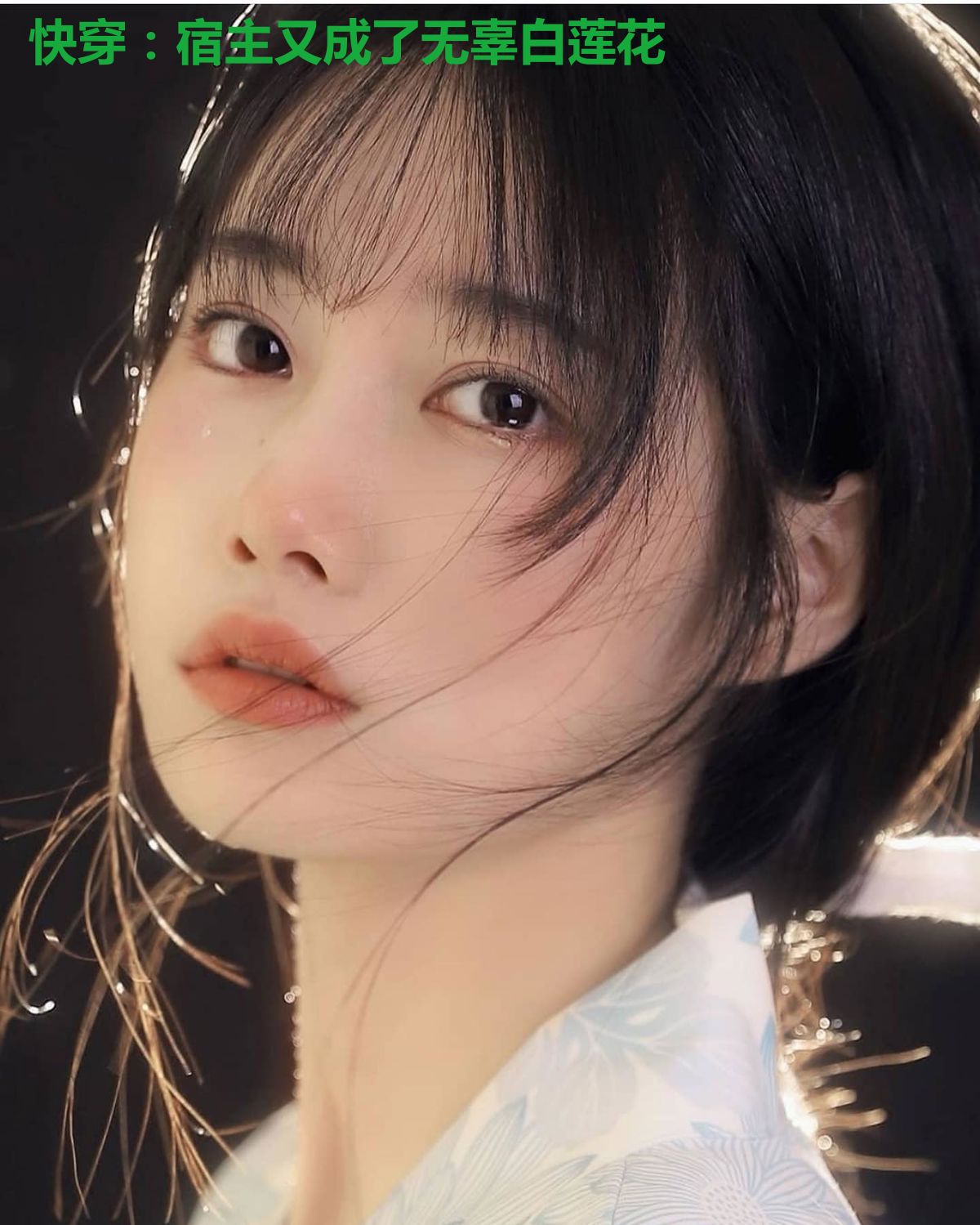 快穿:宿主又成了无辜白莲花