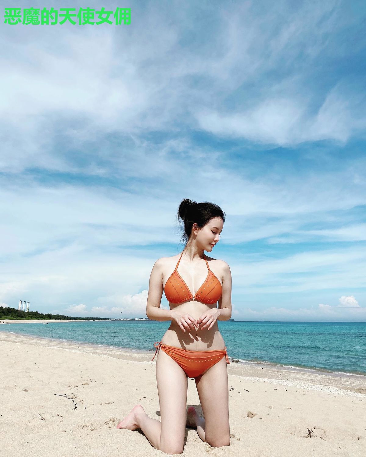 恶魔的天使女佣