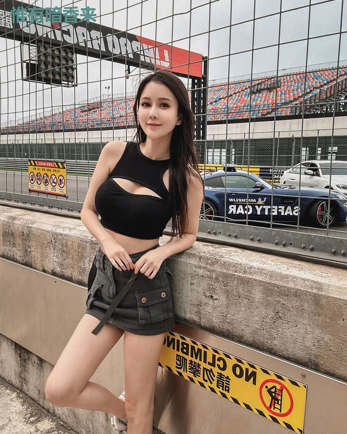 惟有暗香来