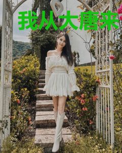 我从大唐来
