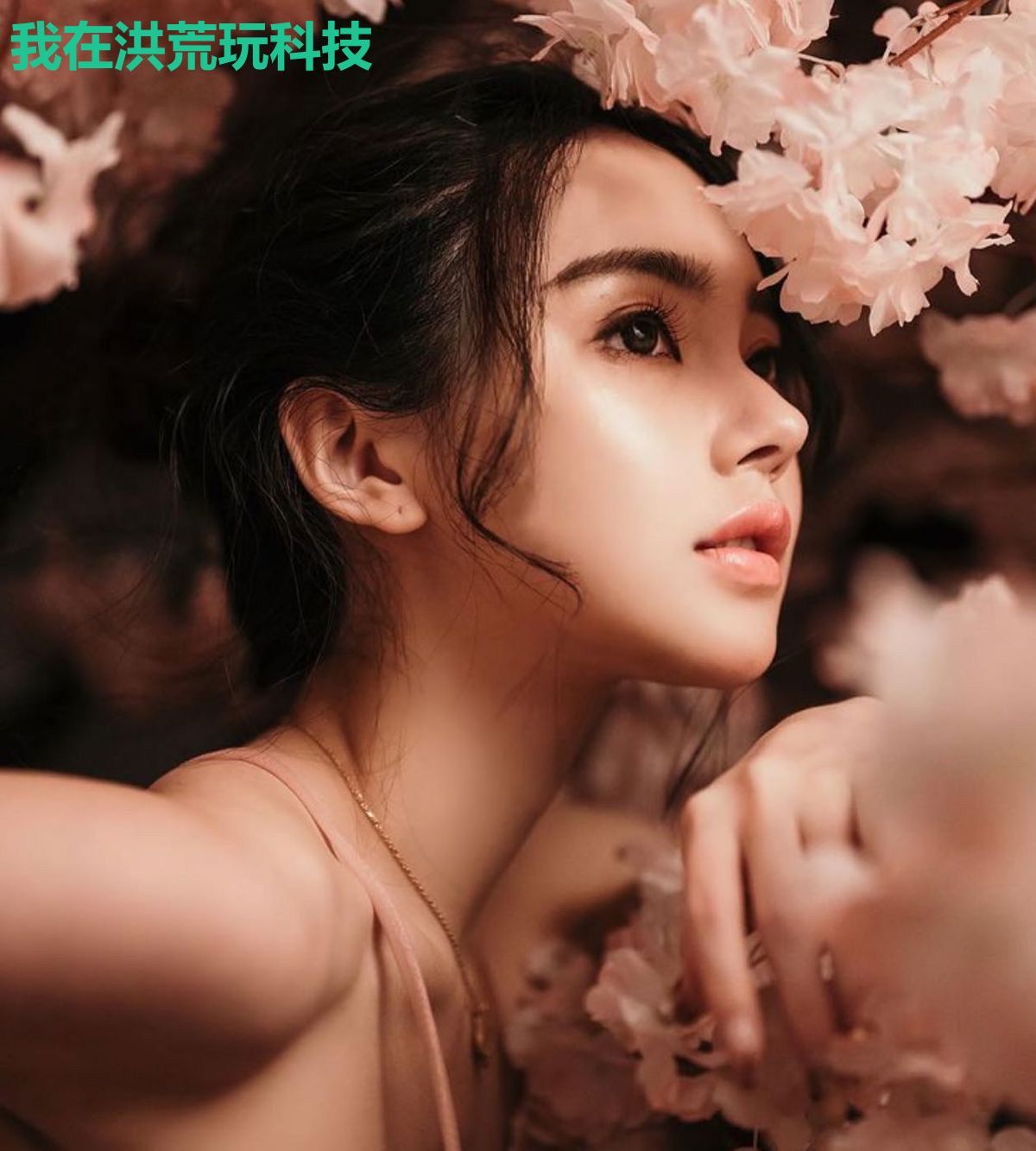 我在洪荒玩科技