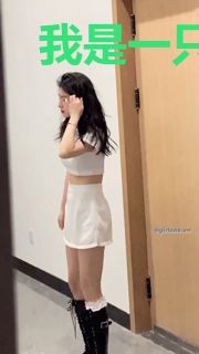 我是一只鸟面翼龙