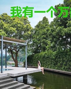 我有一个万能加点系统