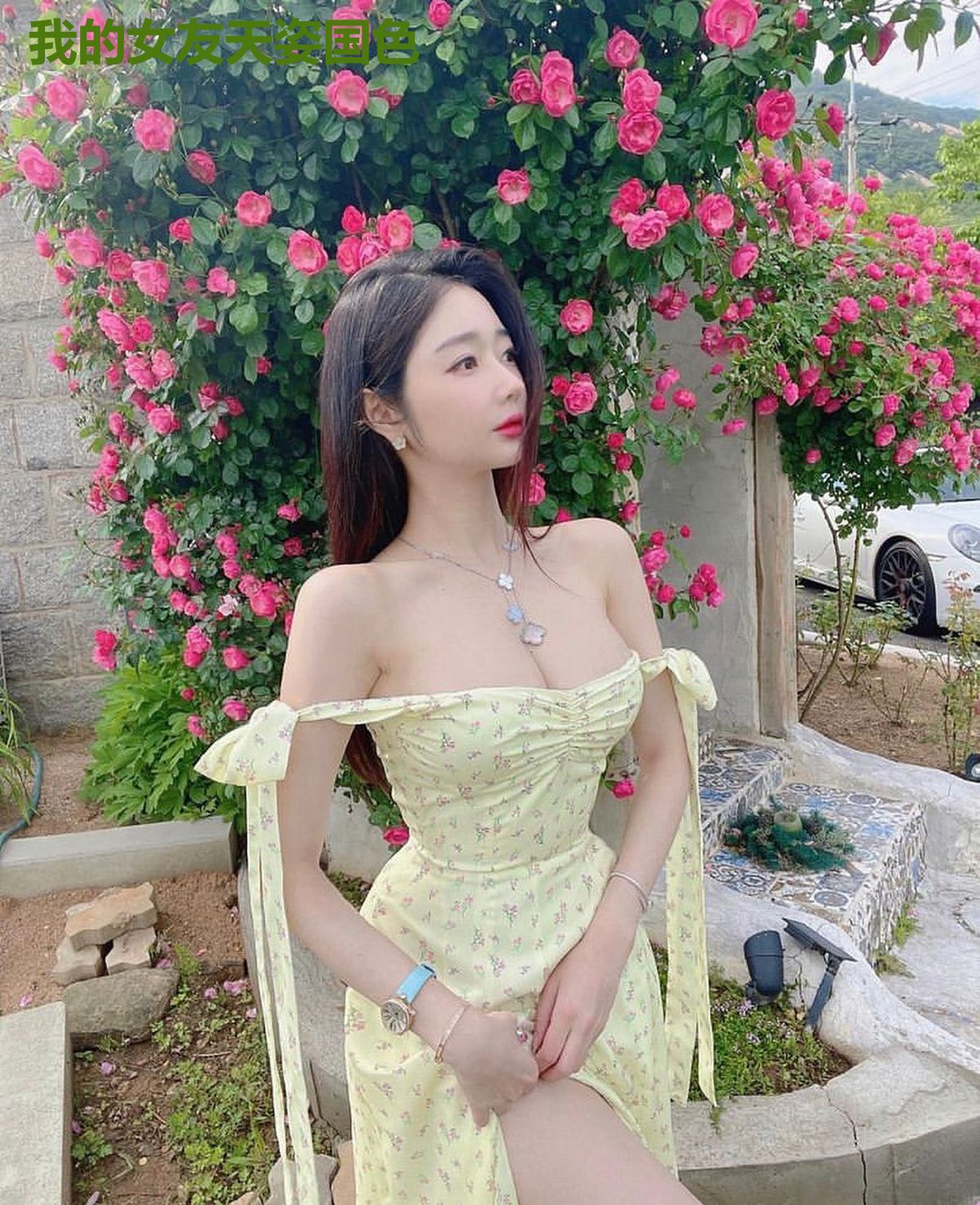 我的女友天姿国色
