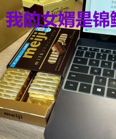 我的女婿是锦鲤