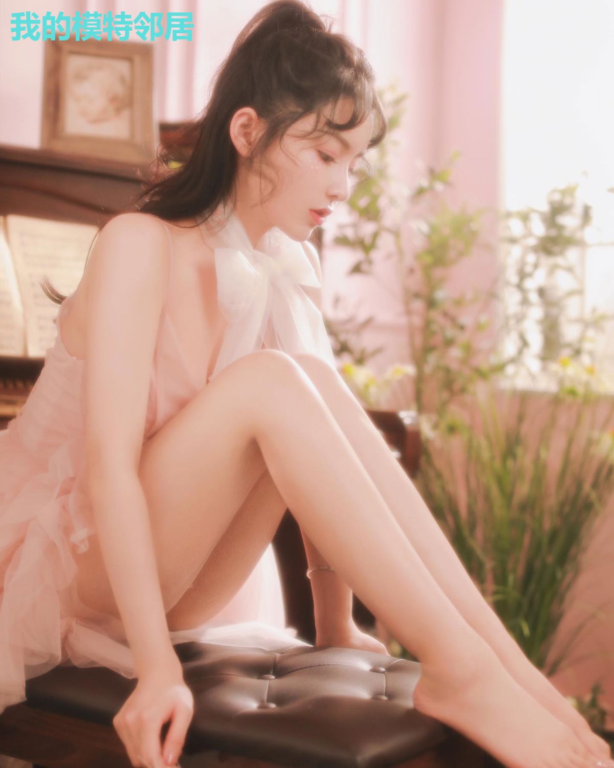 我的模特邻居