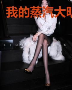 我的蒸汽大明