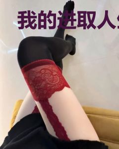 我的进取人生叶天