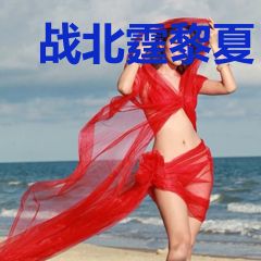 战北霆黎夏