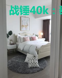战锤40k：泰拉收藏家