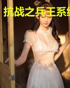 抗战之兵王系统