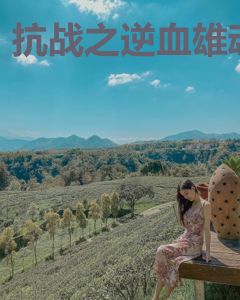 抗战之逆血雄魂
