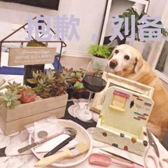 抱歉，刘备是我杀的