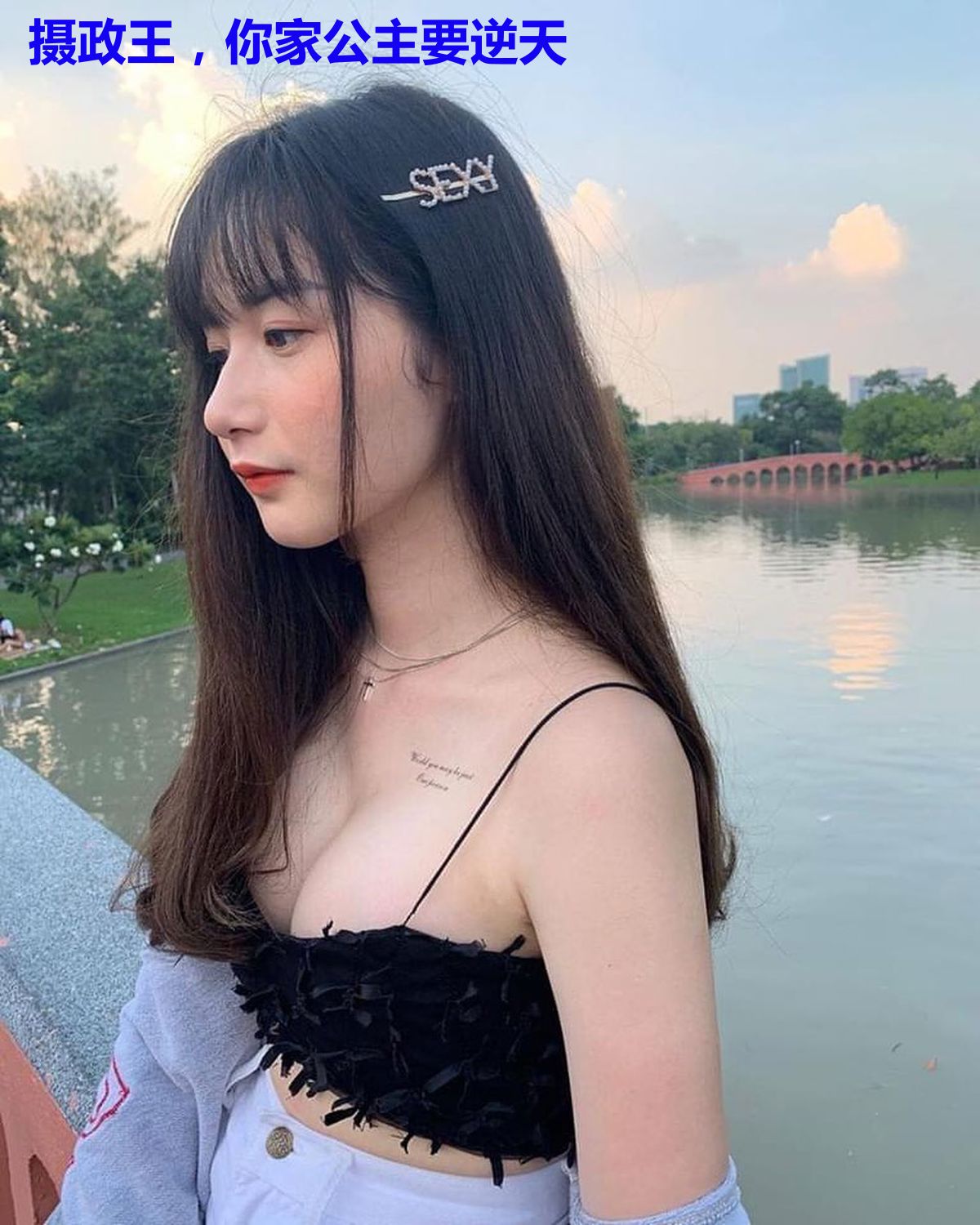 摄政王,你家公主要逆天