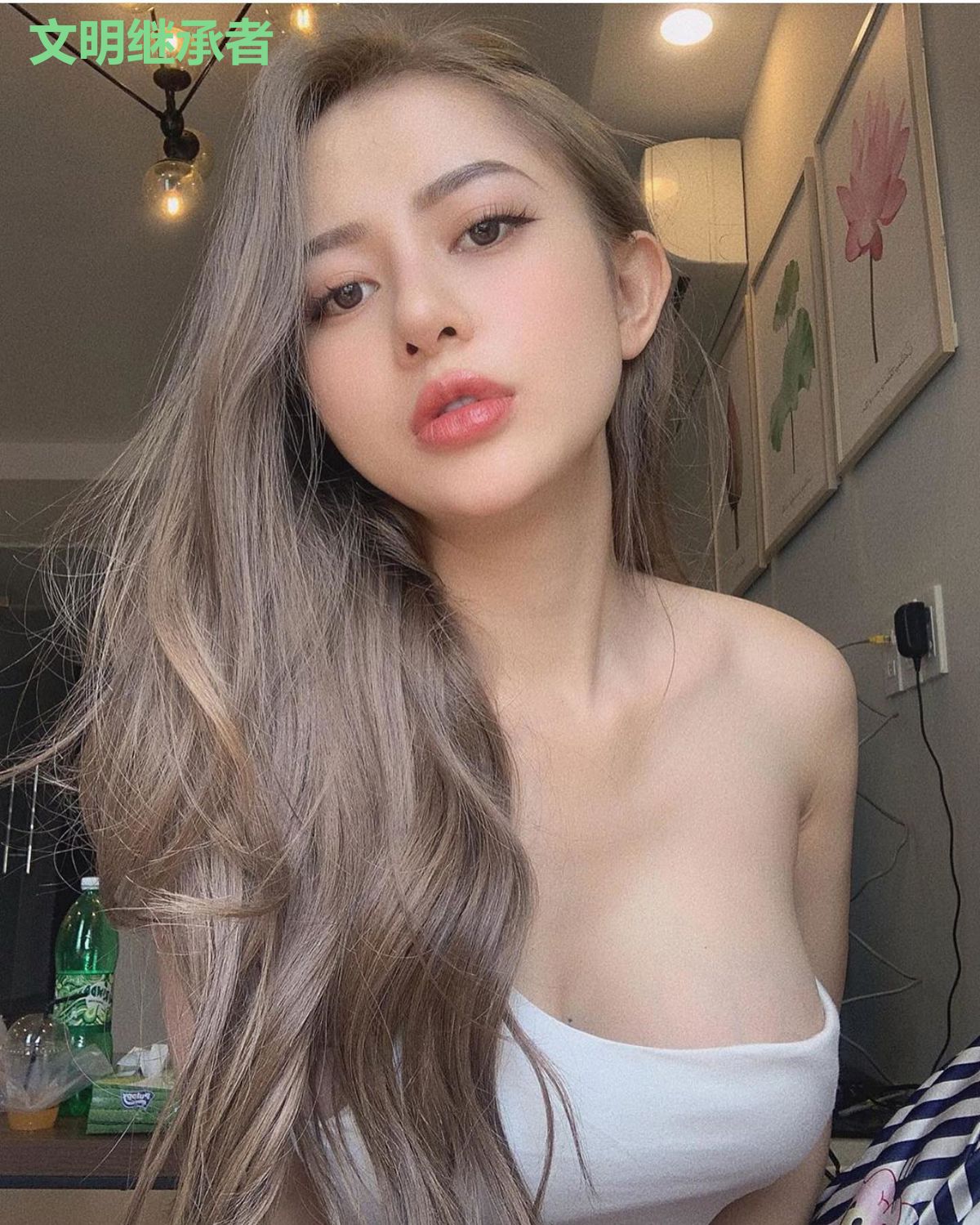 文明继承者