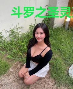 斗罗之圣灵系王者