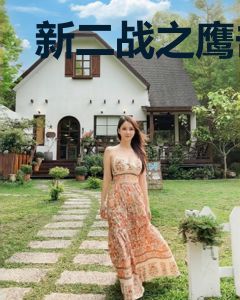 新二战之鹰击长空