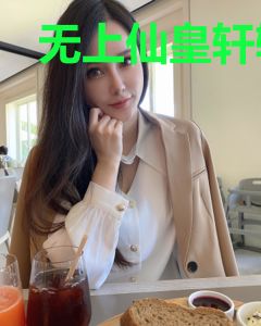 无上仙皇轩辕昊天紫安
