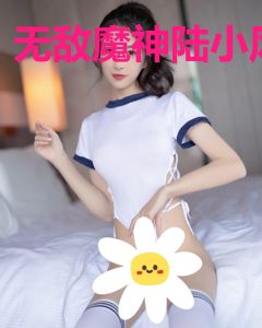 无敌魔神陆小风