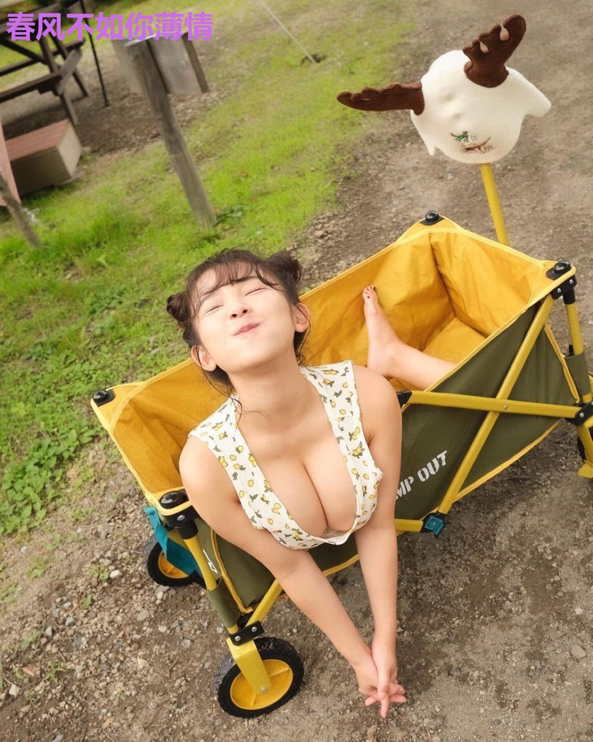 春风不如你薄情