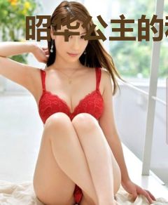 昭华公主的和亲之路