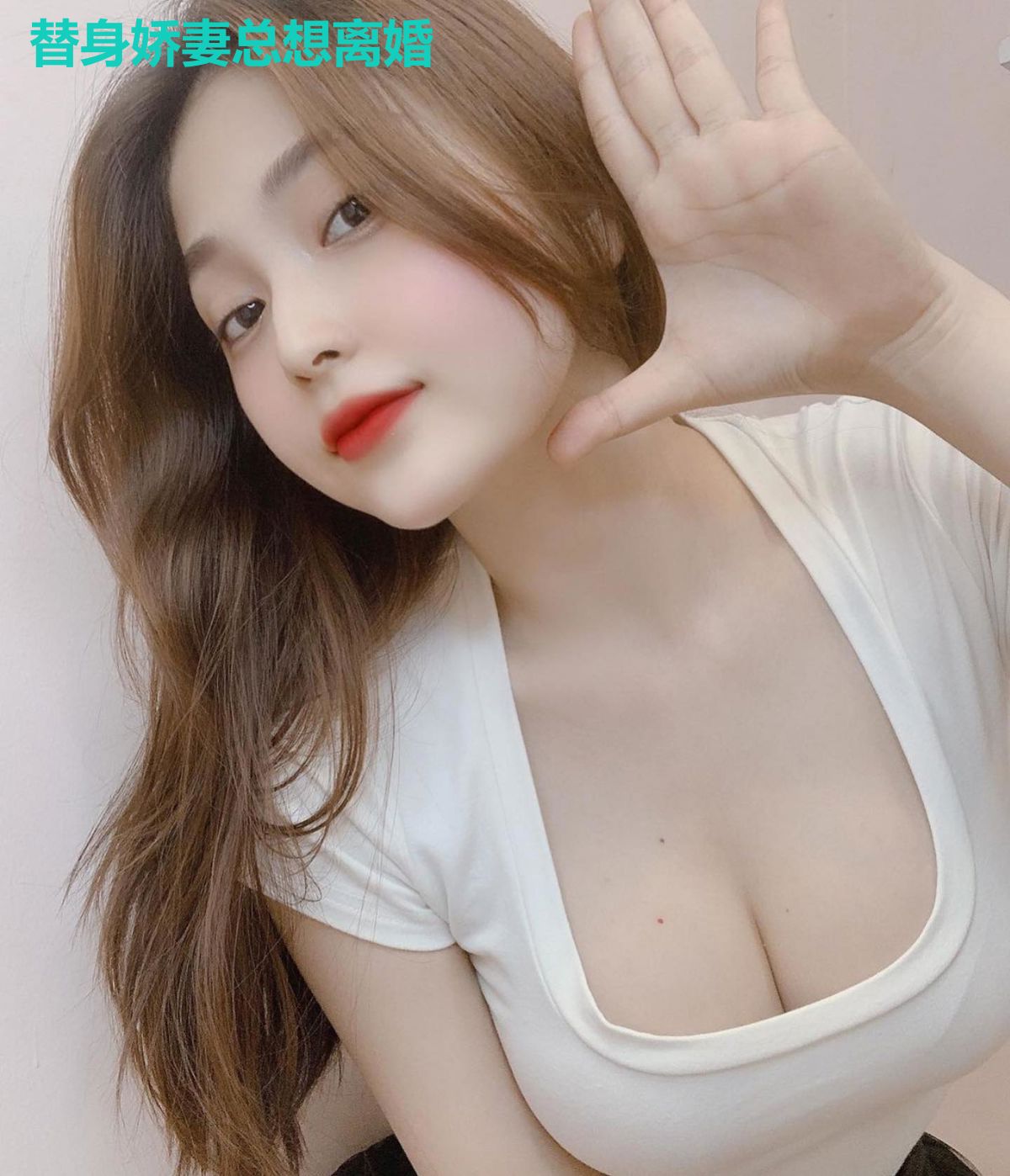 替身娇妻总想离婚
