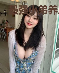 最强小弟养成计划