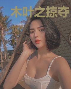 木叶之掠夺