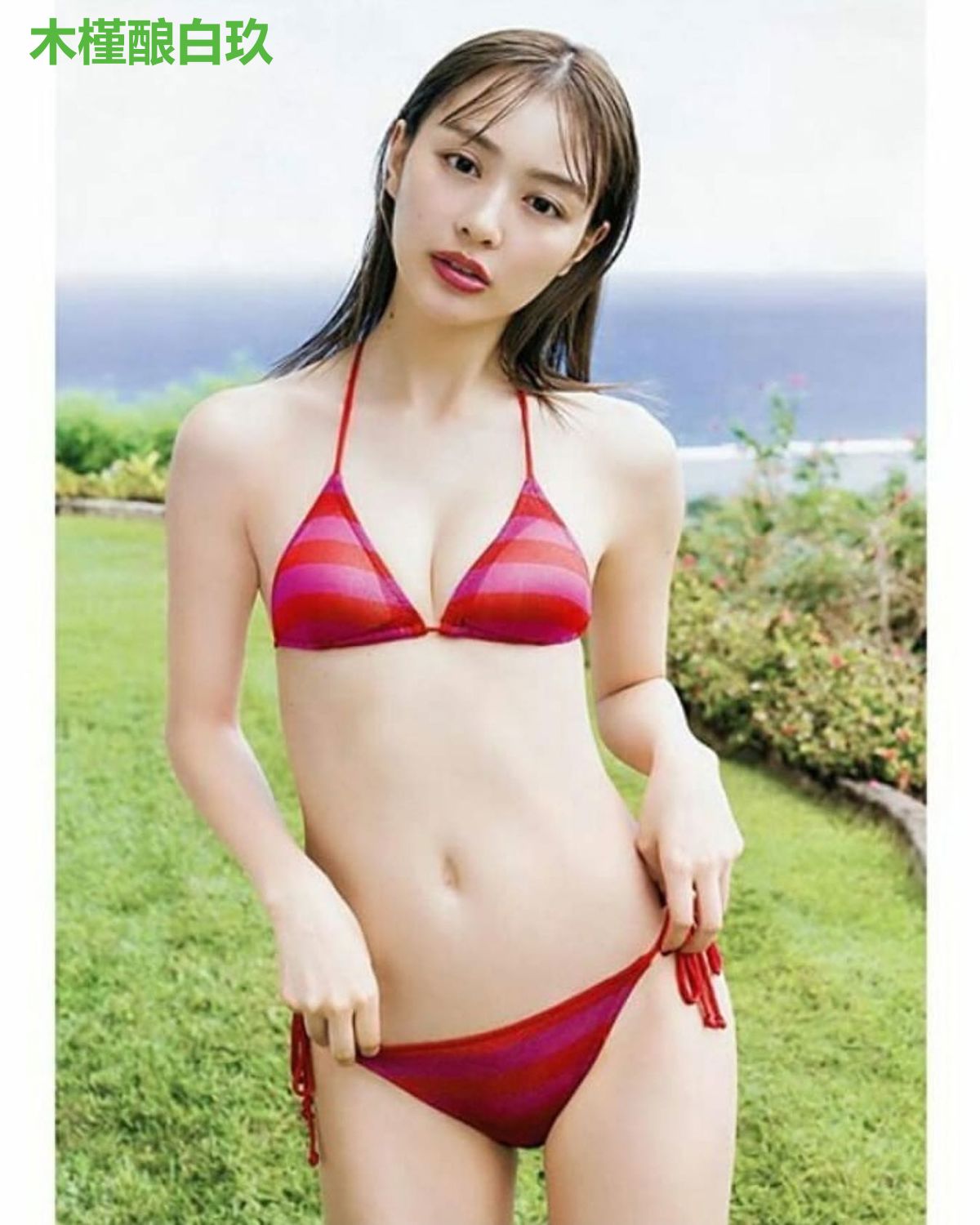 木槿酿白玖
