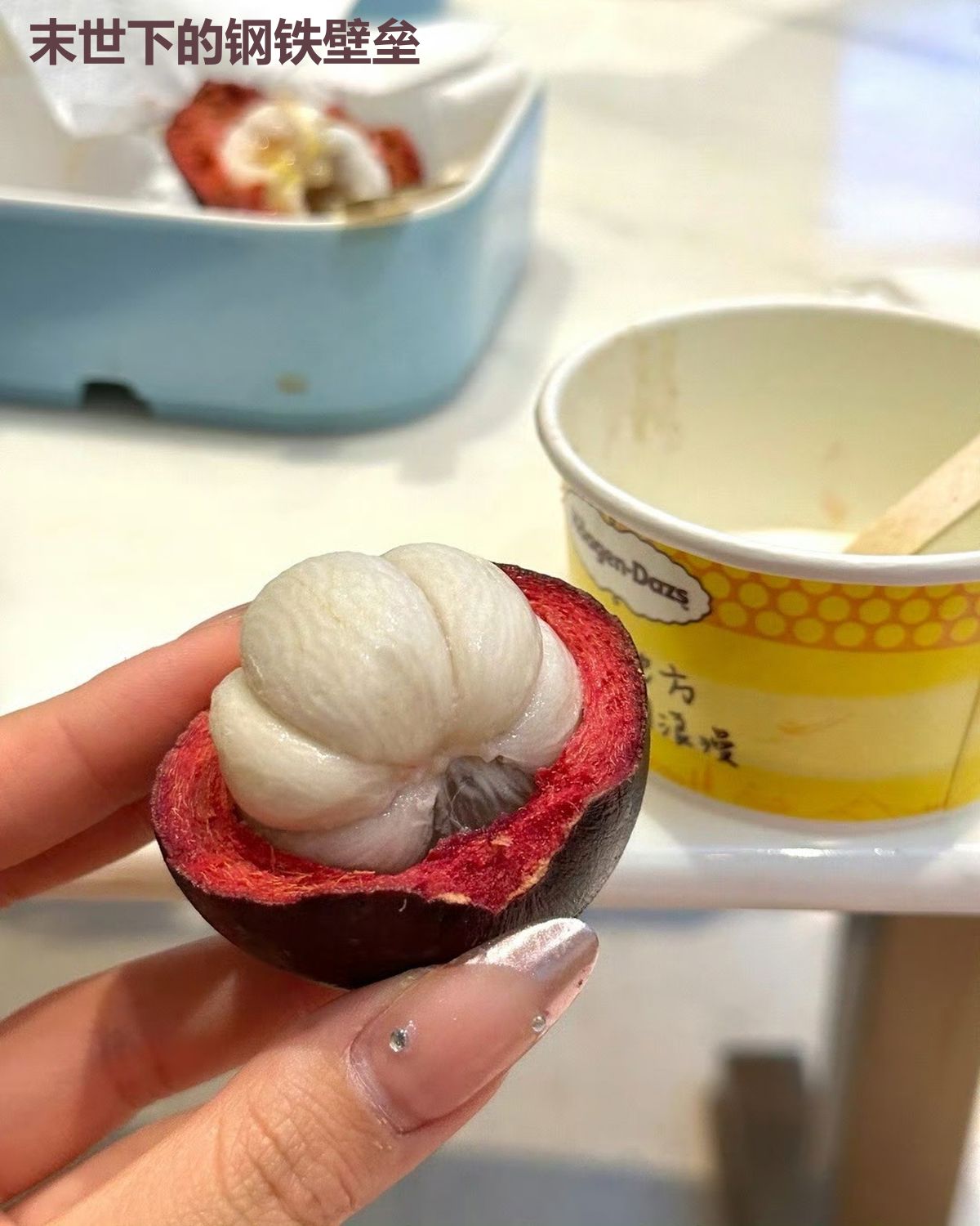 末世下的钢铁壁垒