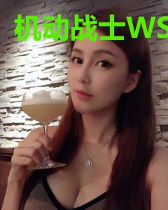 机动战士WS