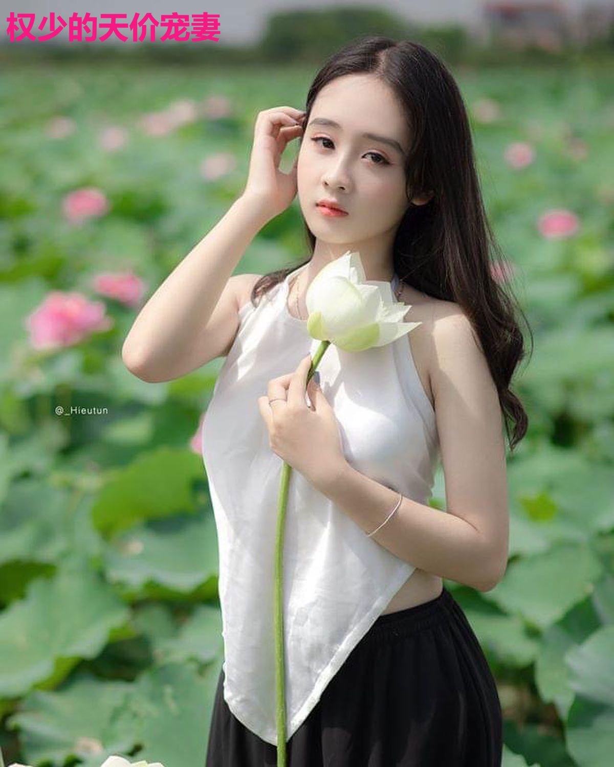 权少的天价宠妻