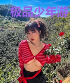 极品少年游