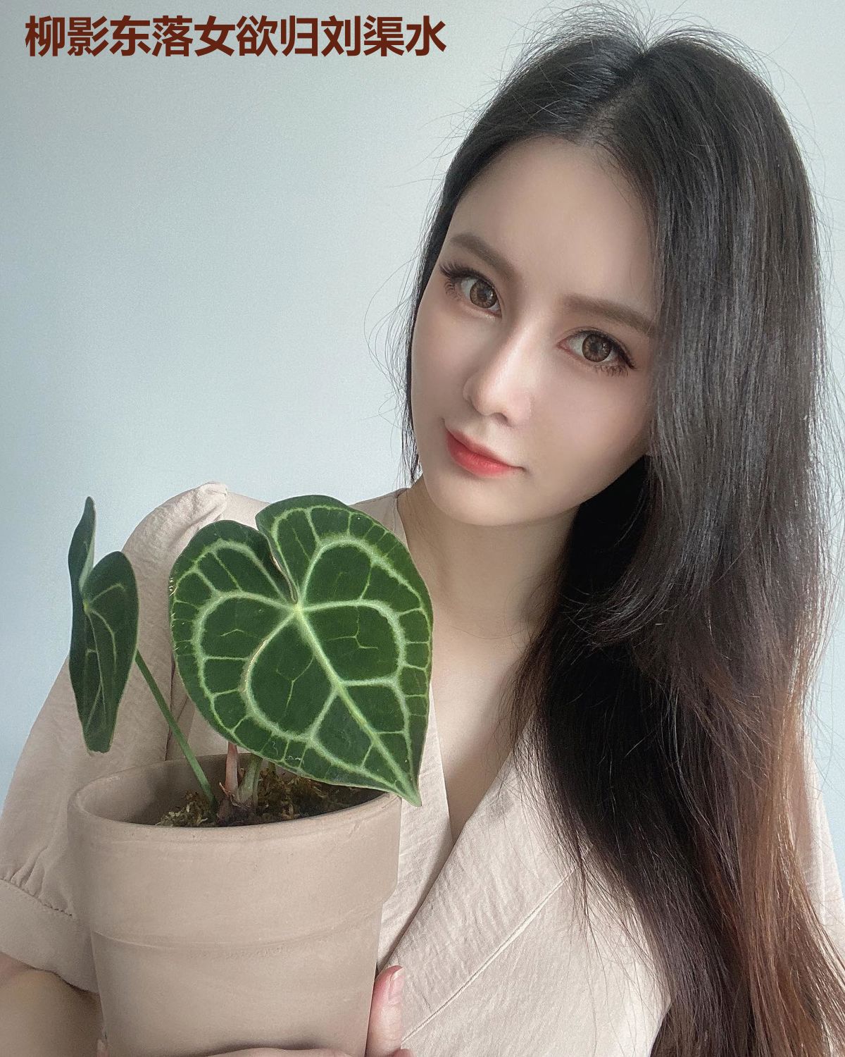 柳影东落女欲归刘渠水