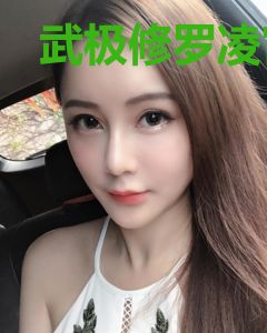 武极修罗凌宵叶青桐