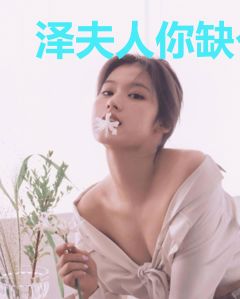 泽夫人你缺个老公